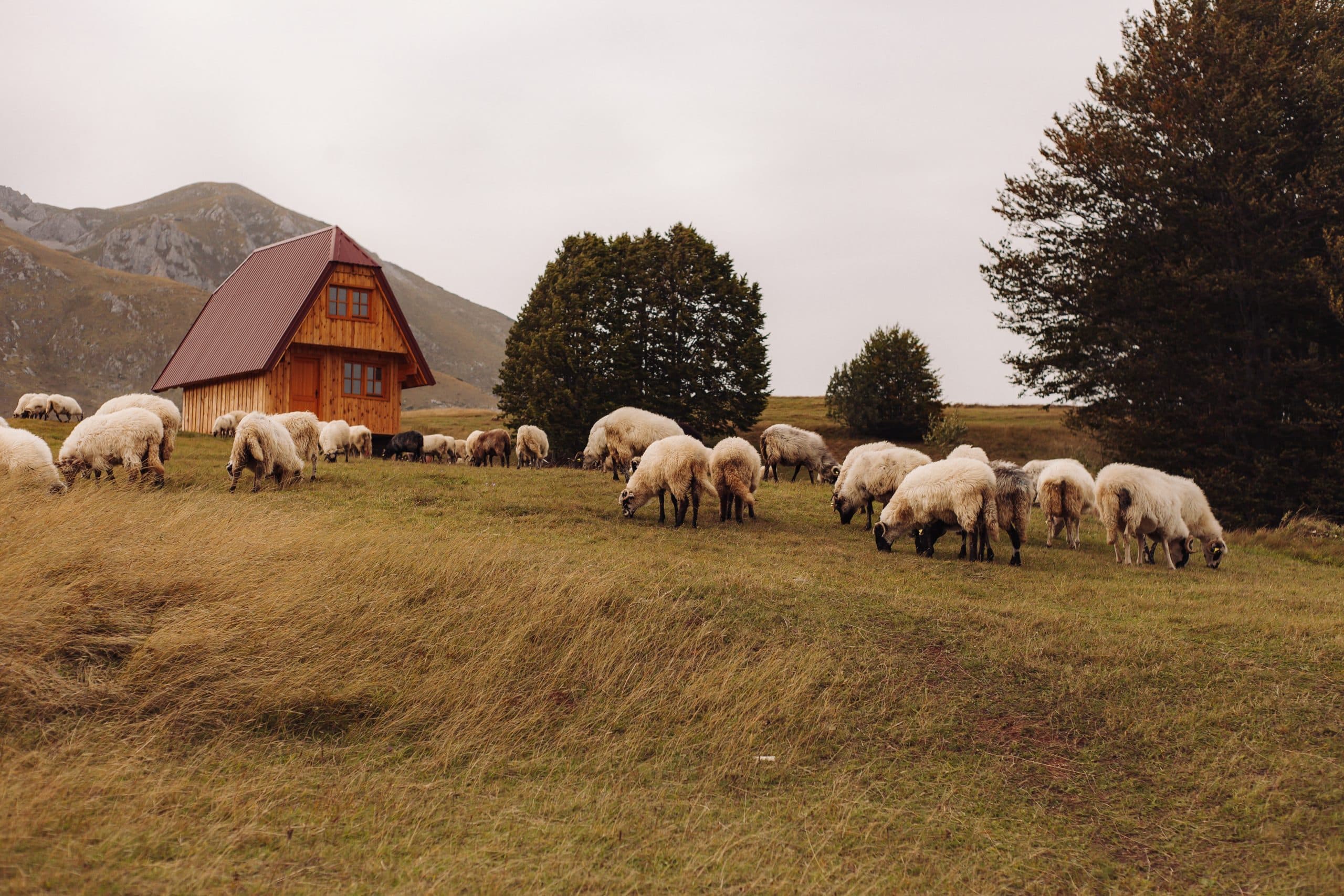 Omdan dit sommerhus til en bjerghytte
